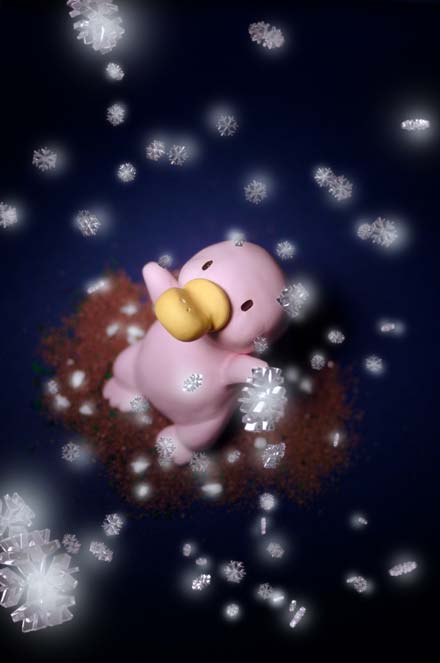 雪の中のちょろぴ画像