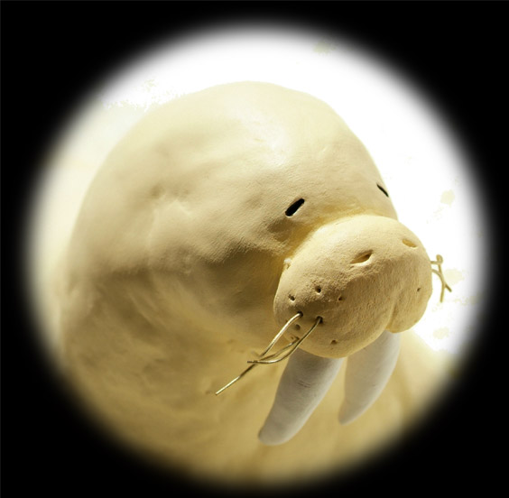 摜